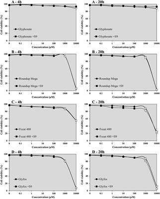 Micronucleus Formation Induced by Glyphosate and Glyphosate-Based Herbicides in Human Peripheral White Blood Cells